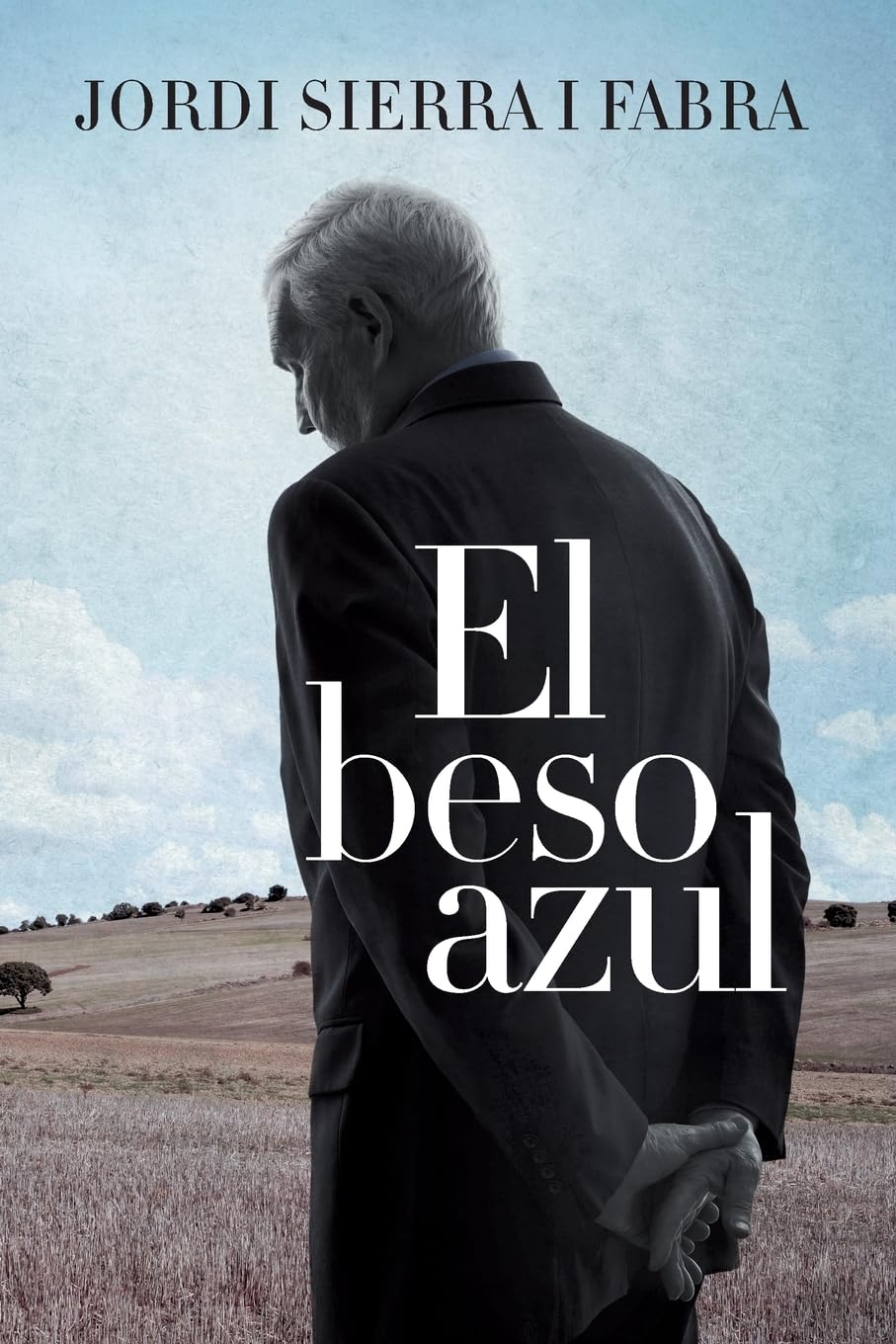beso azul (Spanish Edition),Used