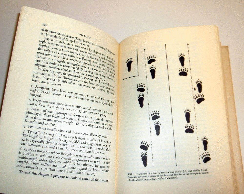 Bigfoot; The Yeti And Sasquatch In Myth And Reality