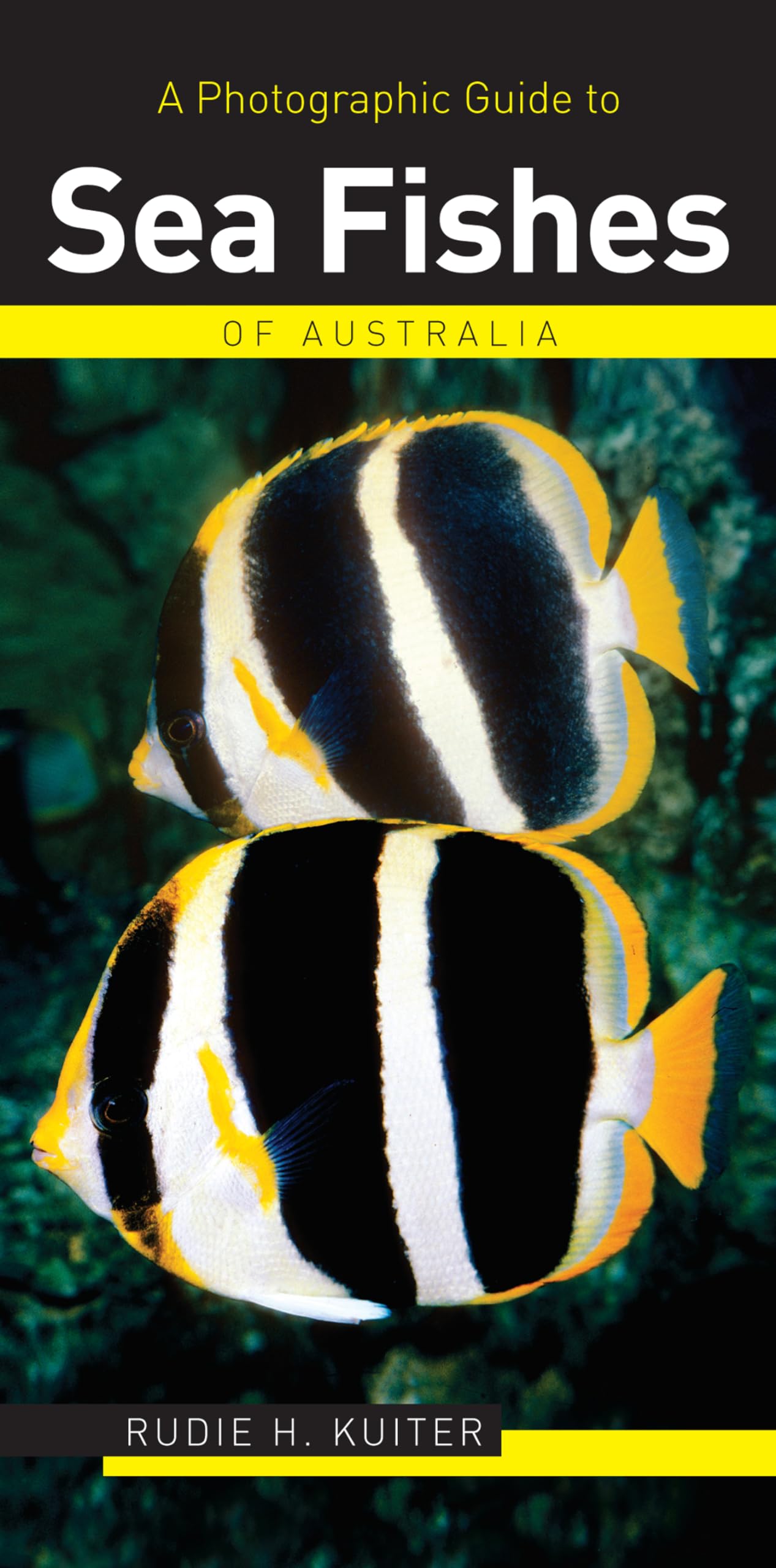 A Photographic Guide to Sea Fishes of Australia (Photographic Guides of Australia),Used