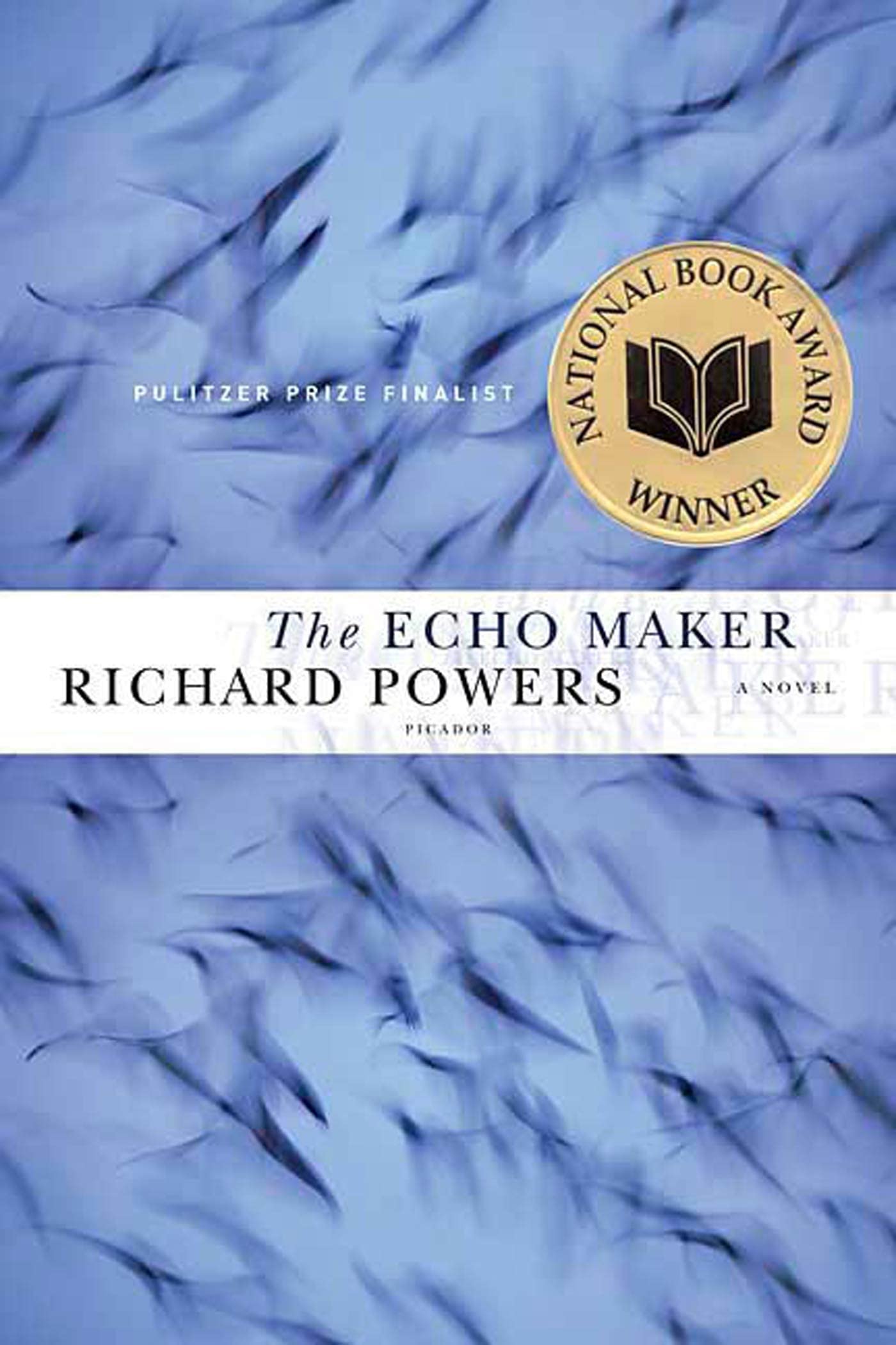 The Echo Maker,Used