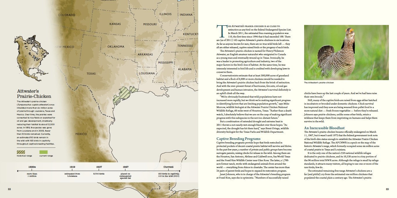 Noppadol Paothong Photography Npp617480 Save The Last Dance-new