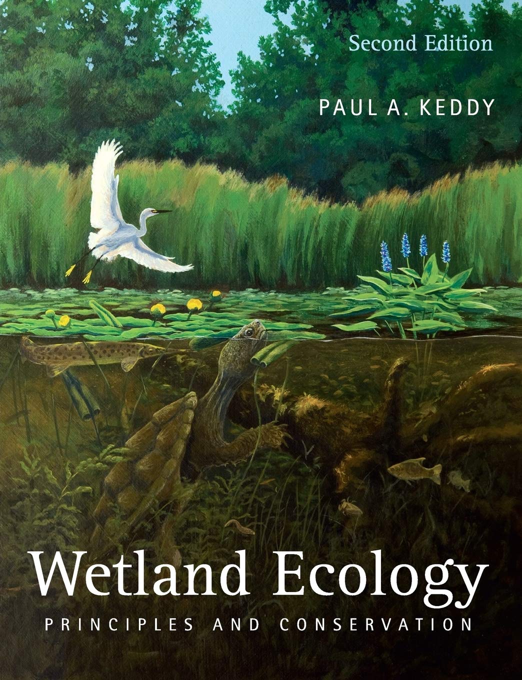 Wetland Ecology: Principles and Conservation,New