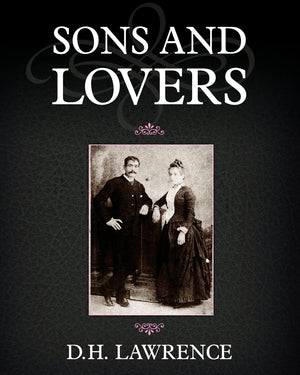 Sons And Lovers,Used