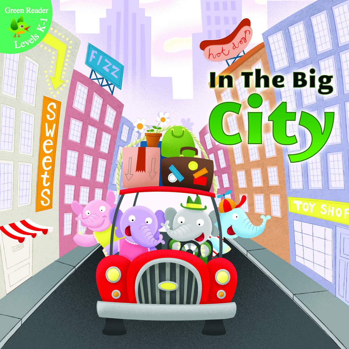 Rourke Educational Media In The Big City Reader (Little Birdie Books),Used