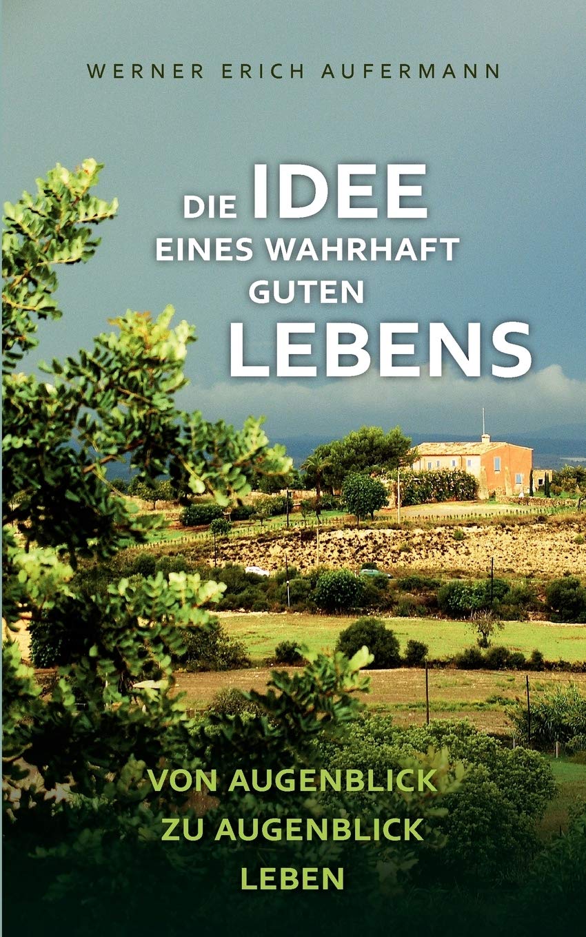 Die Idee eines wahrhaft guten Lebens: Von Augenblick zu Augenblick leben (German Edition),Used