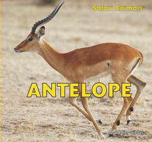 Antelope (Safari Animals),Used