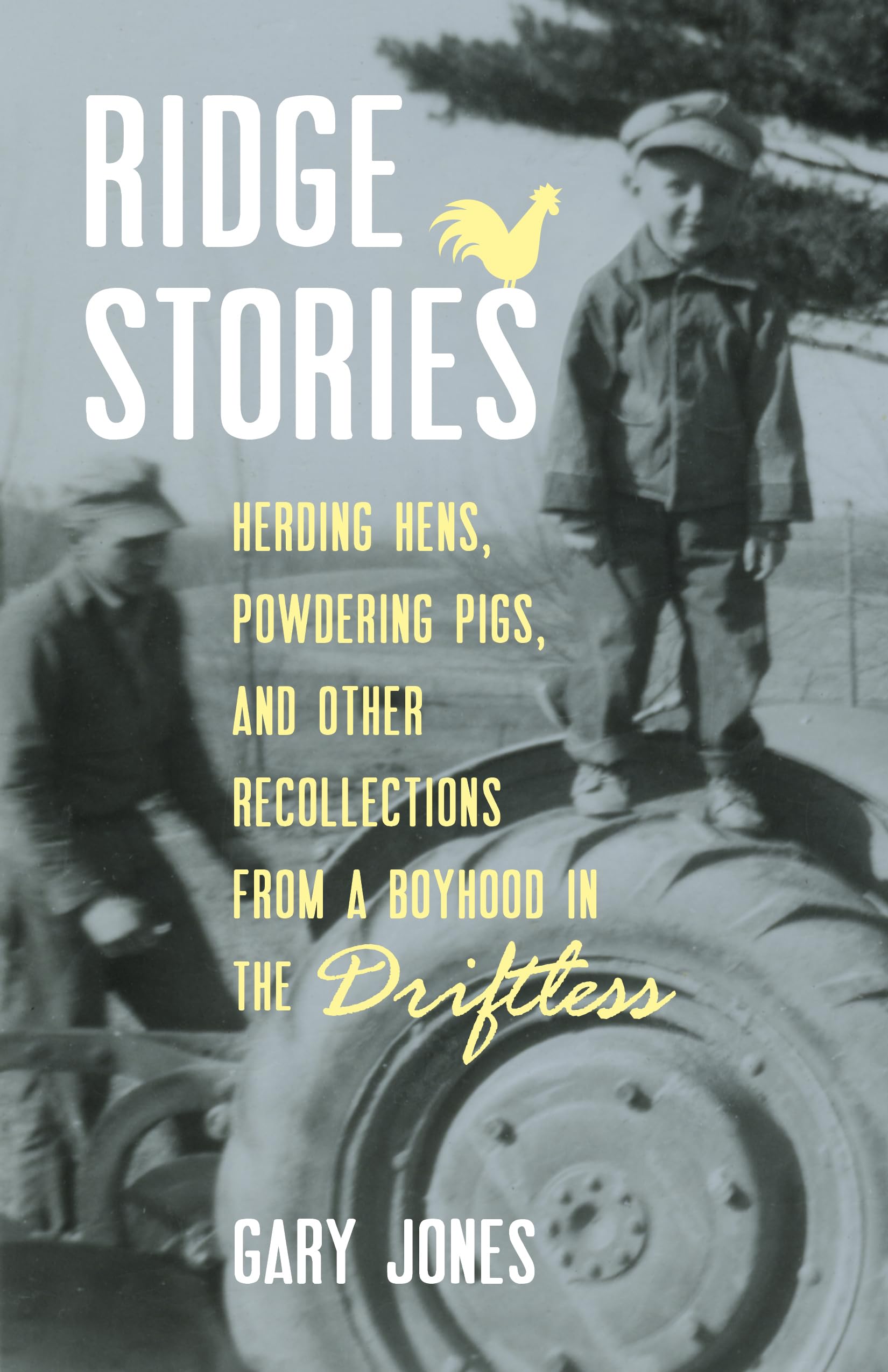Ridge Stories: Herding Hens, Powdering Pigs, and Other Recollections from a Boyhood in the Driftless,Used