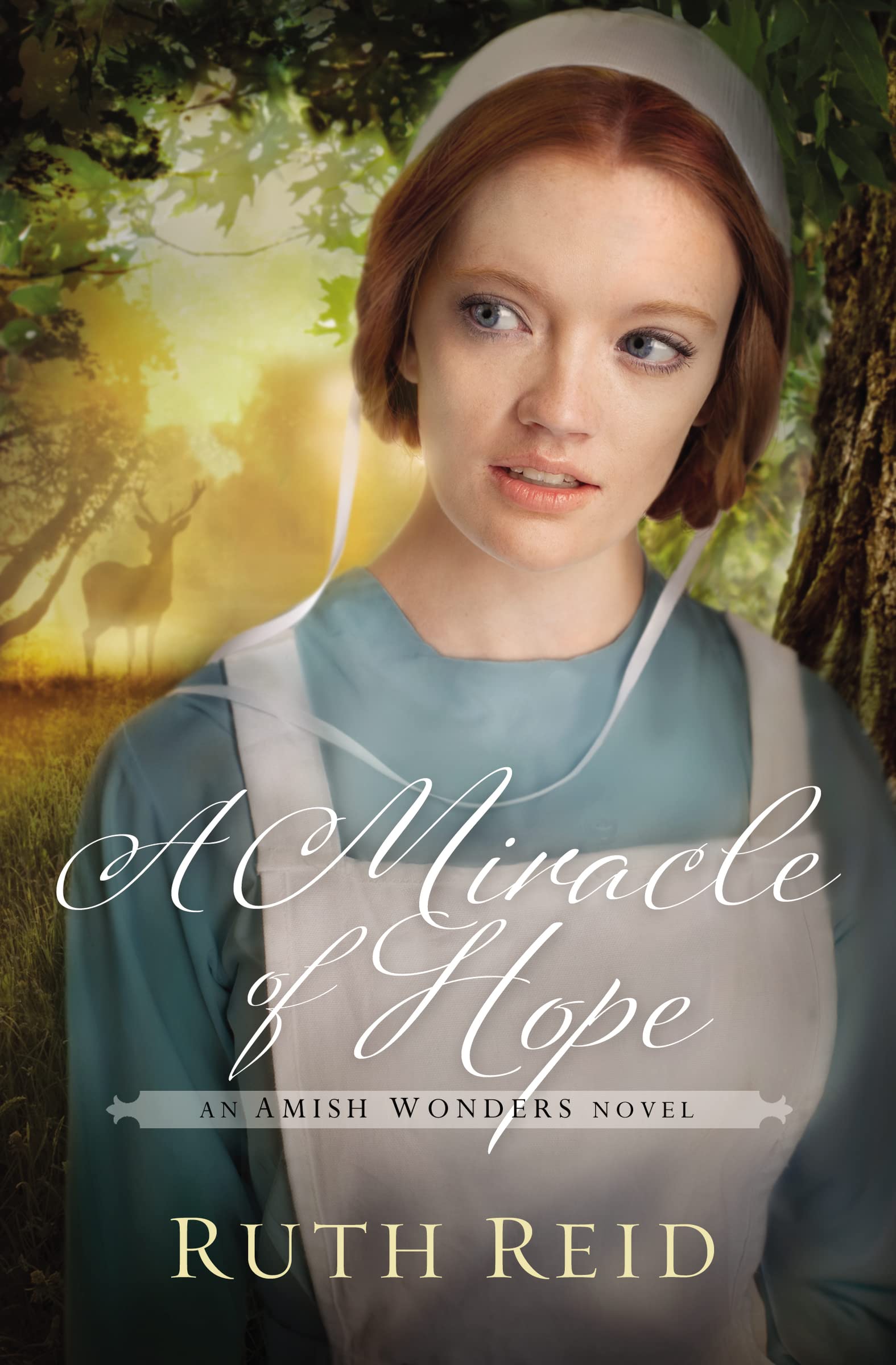 A Miracle of Hope (The Amish Wonders Series),Used