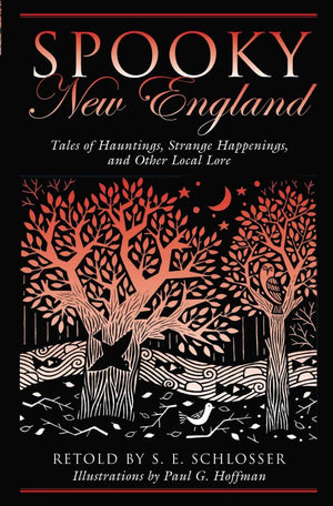 Spooky New England: Tales Of Hauntings, Strange Happenings, And Other Local Lore-new,New