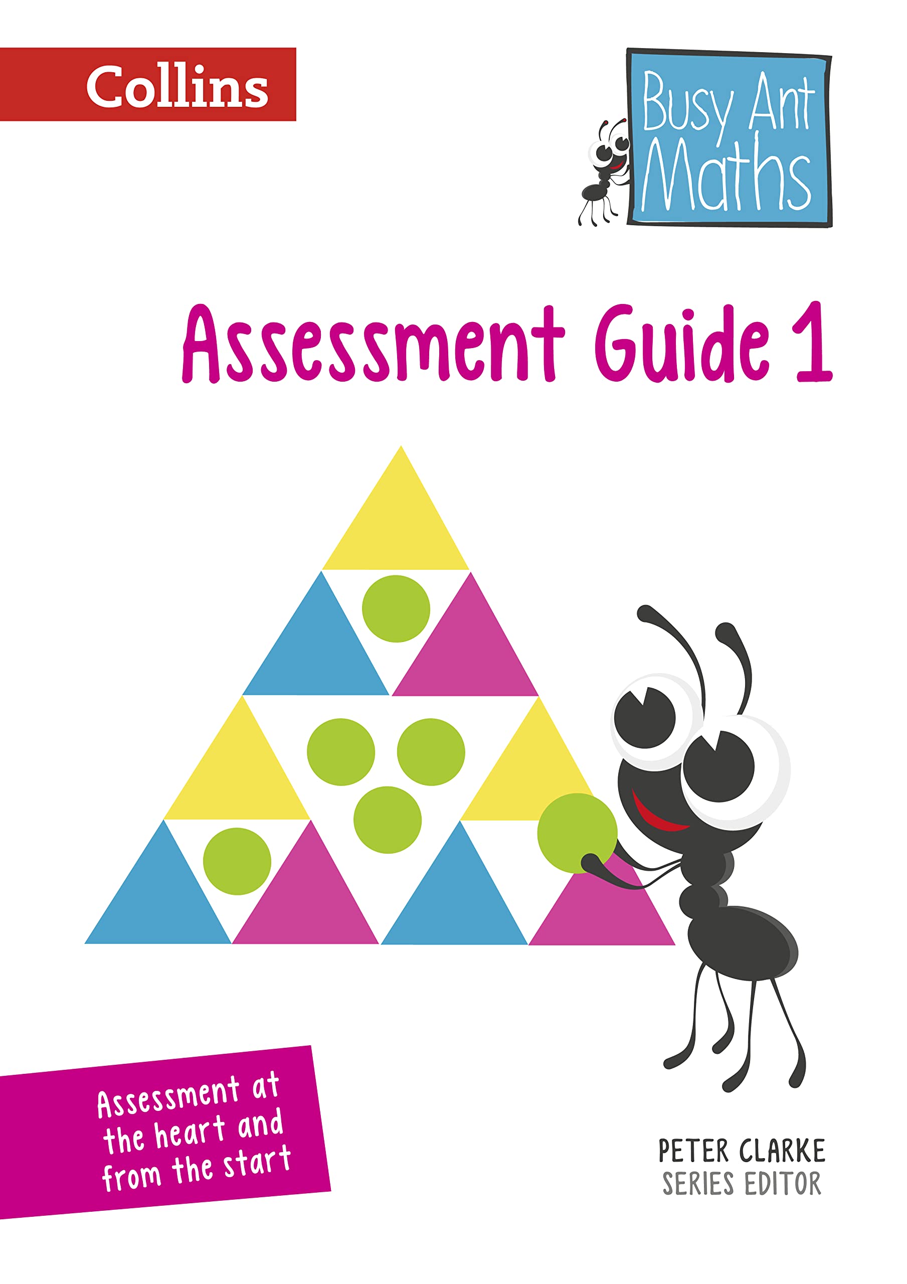 2014 Busy Ant Maths  Year 1 Assessment Guide,Used