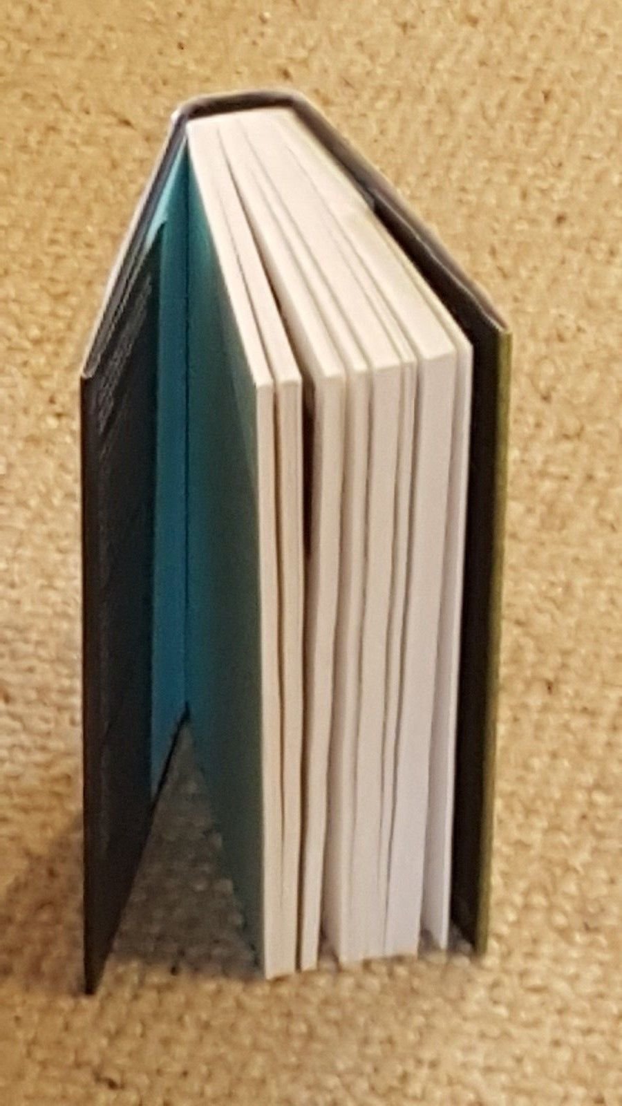 Totally Frank: The Autobiography Of Frank Lampard,Used