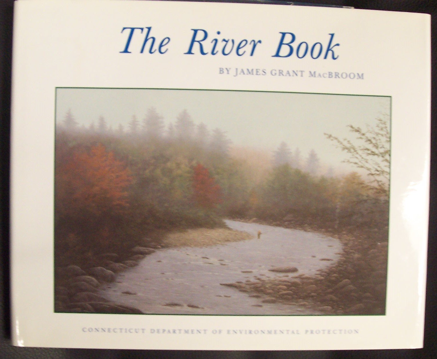 The River Book: The Nature and Management of Streams in Glaciated Terranes (Dep Bulletin, 28),Used