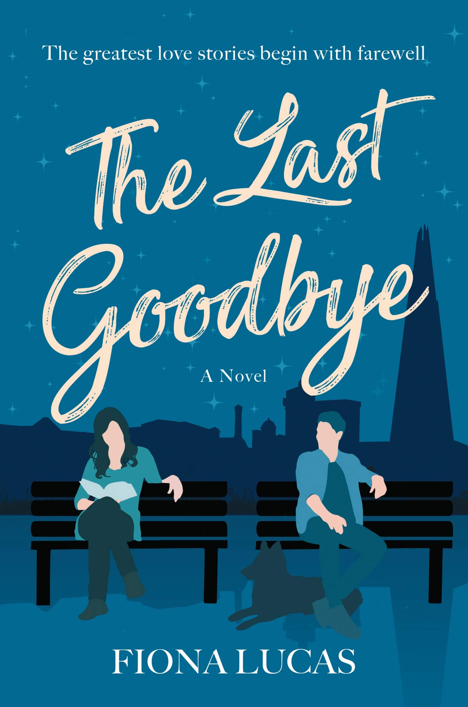 The Last Goodbye: A Novel,Used