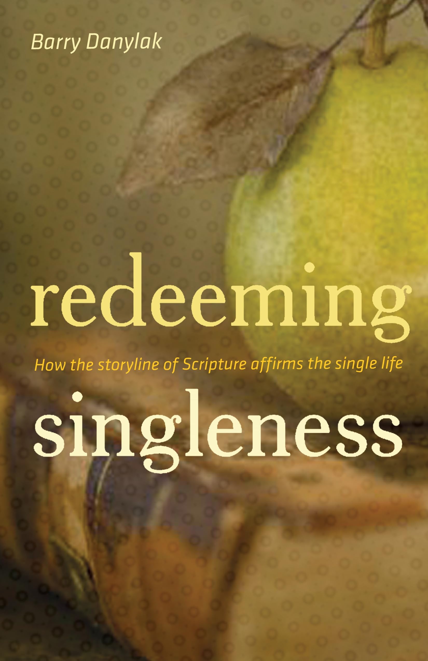 Redeeming Singleness: How the Storyline of Scripture Affirms the Single Life,Used