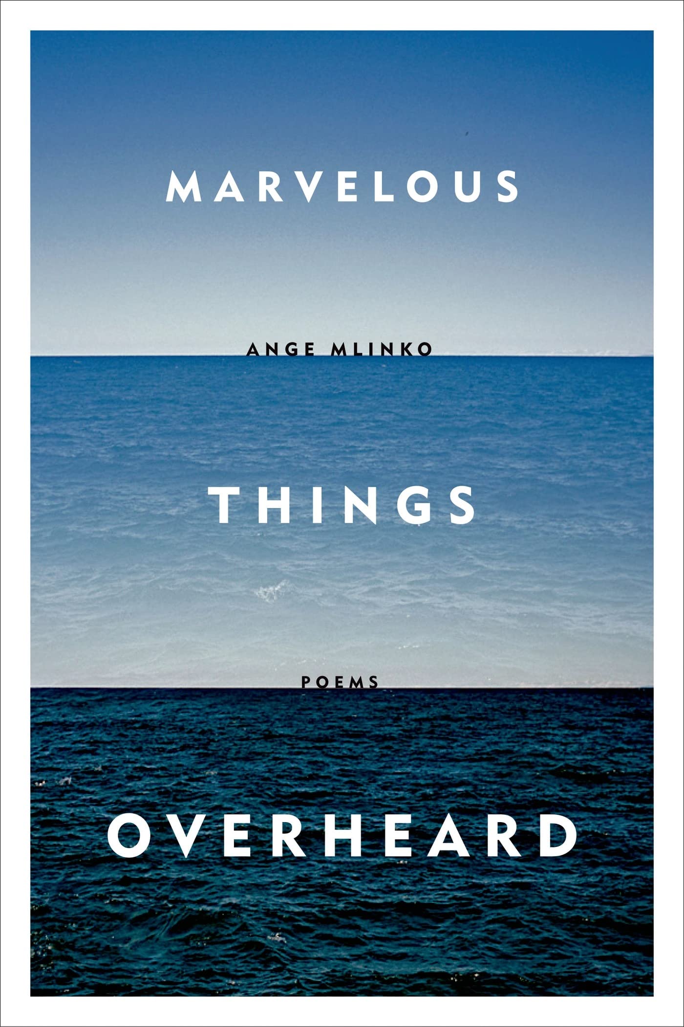 Marvelous Things Overheard: Poems,Used
