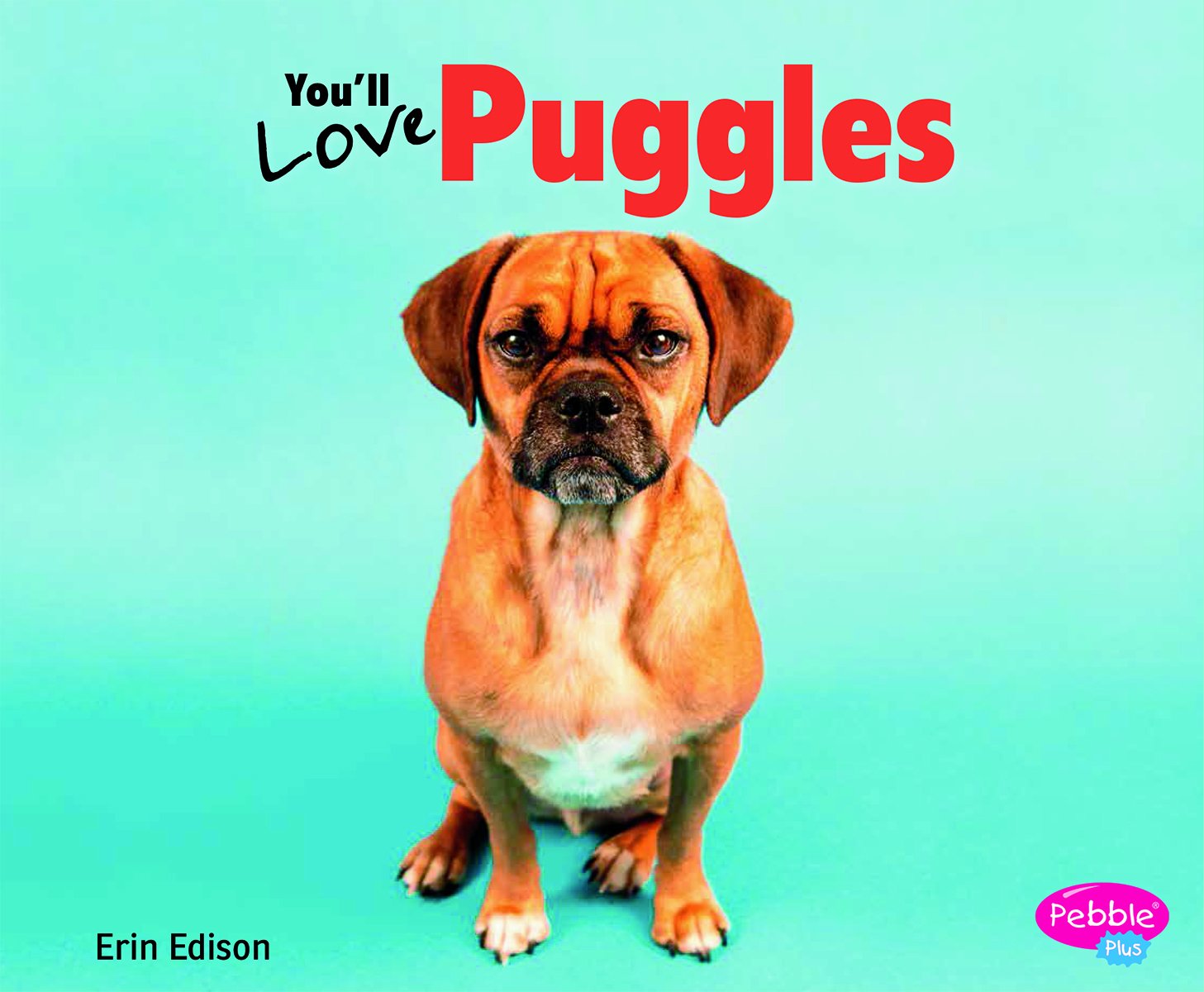 You'll Love Puggles (Favorite Designer Dogs),Used