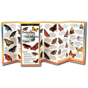 Butterflies of the MidAtlantic & South Central States: Folding Guide (Foldingguides),Used