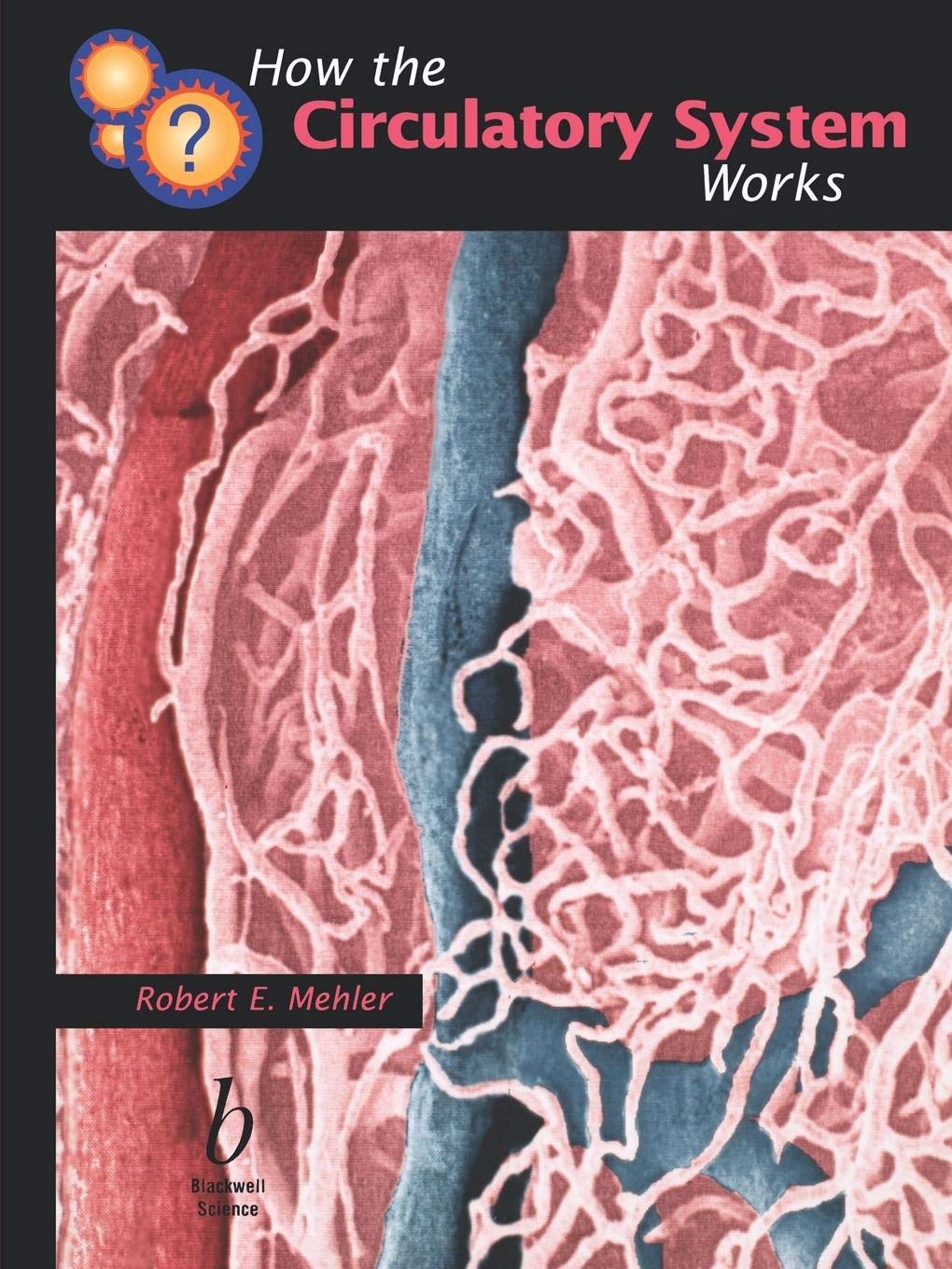 How the Circulatory System Works,New