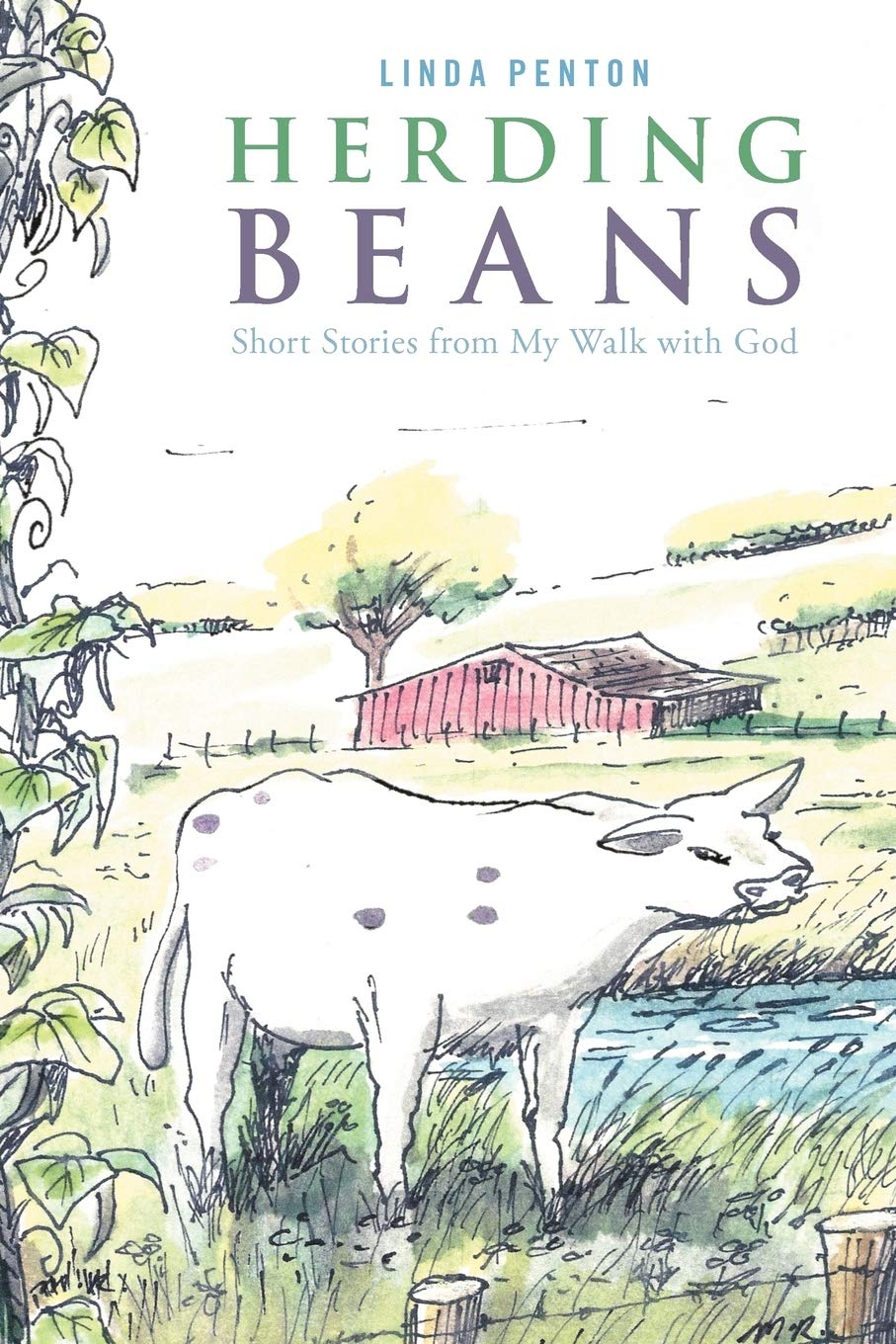 Herding Beans: Short Stories From My Walk With God,Used