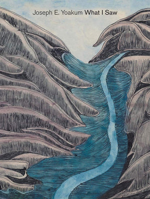 Joseph E. Yoakum: What I Saw,New