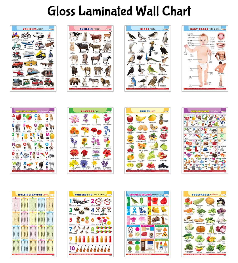 Pack Of 12 Gloss Lamination Charts:Alphabet, Fruits, Vegetables, Animals, Birds, Body Parts, Numbers, Multiplication, Hindi Varnmala, Shapes And Colours, Flowers And Vehicles | Learning Chart For Kids