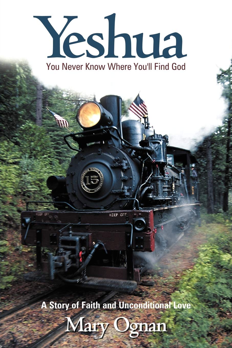 Yeshua: You Never Know Where You'Ll Find God,Used