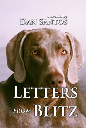 Letters from Blitz,Used