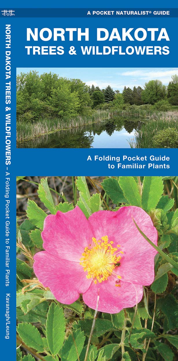 North Dakota Trees & Wildflowers: A Folding Pocket Guide to Familiar Plants (Wildlife and Nature Identification),Used
