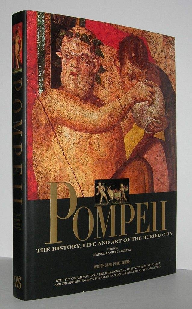 Pompeii: The History, Life and Art of the Buried City,Used