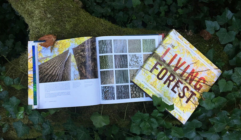 The Living Forest: A Visual Journey Into the Heart of the Woods,New