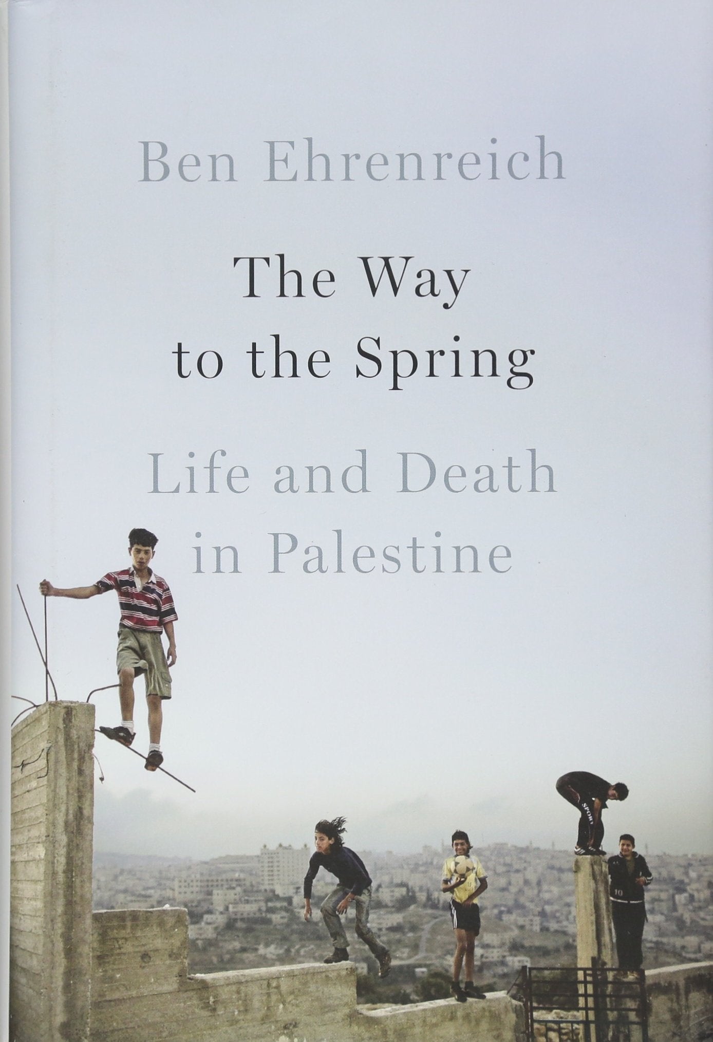 The Way to the Spring: Life and Death in Palestine,Used