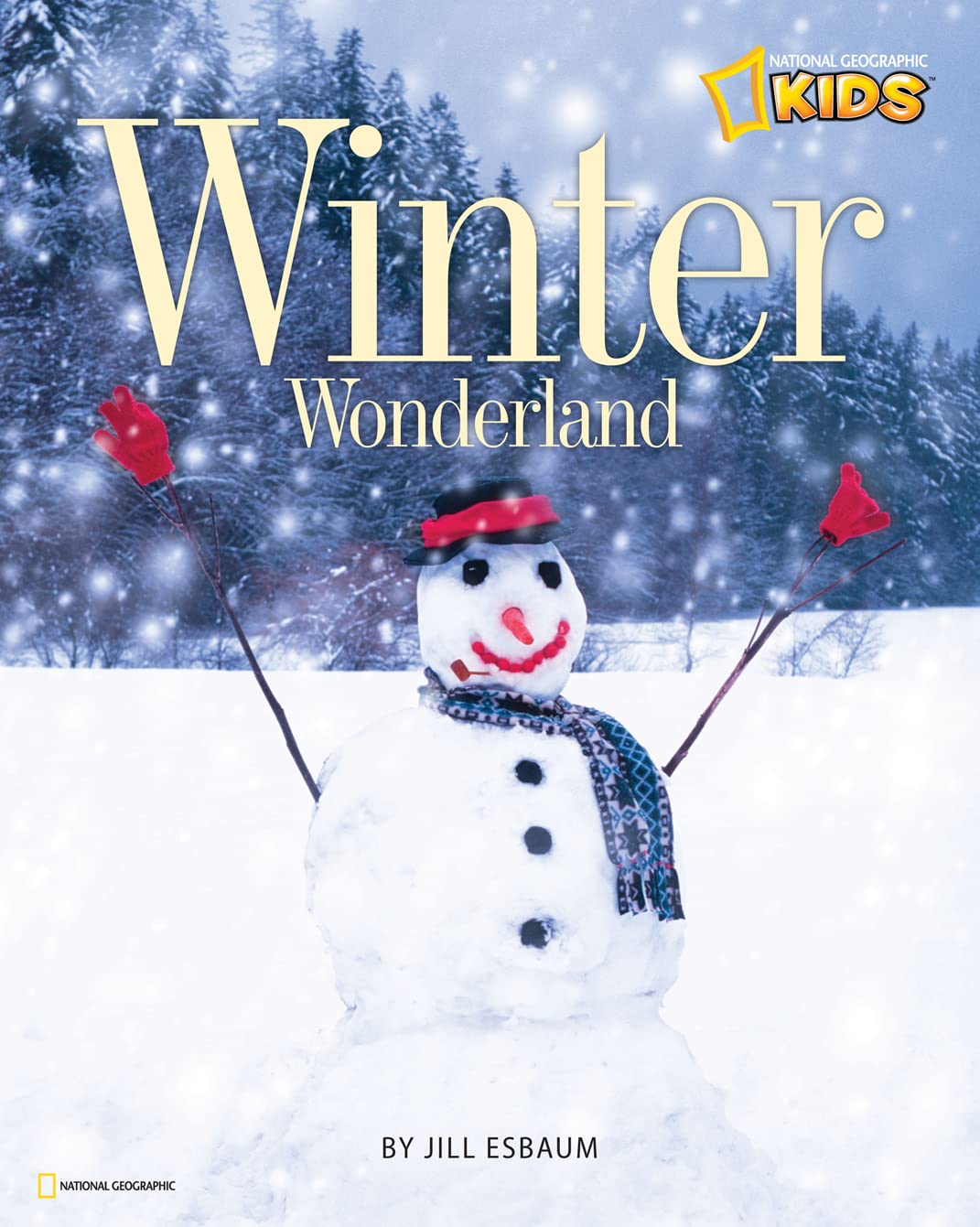 Winter Wonderland (Picture the Seasons),Used