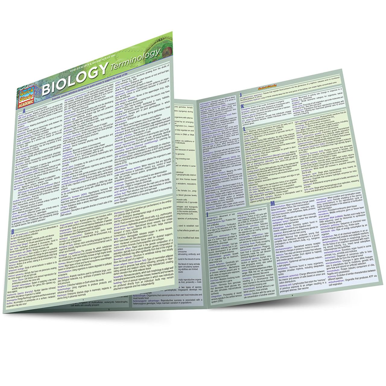 Biology Terminology Quickstudy Laminated Reference Guide (Quickstudy Academic)