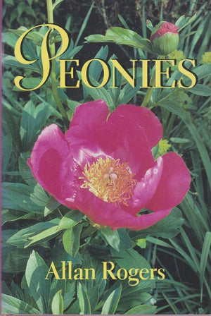 Peonies,New