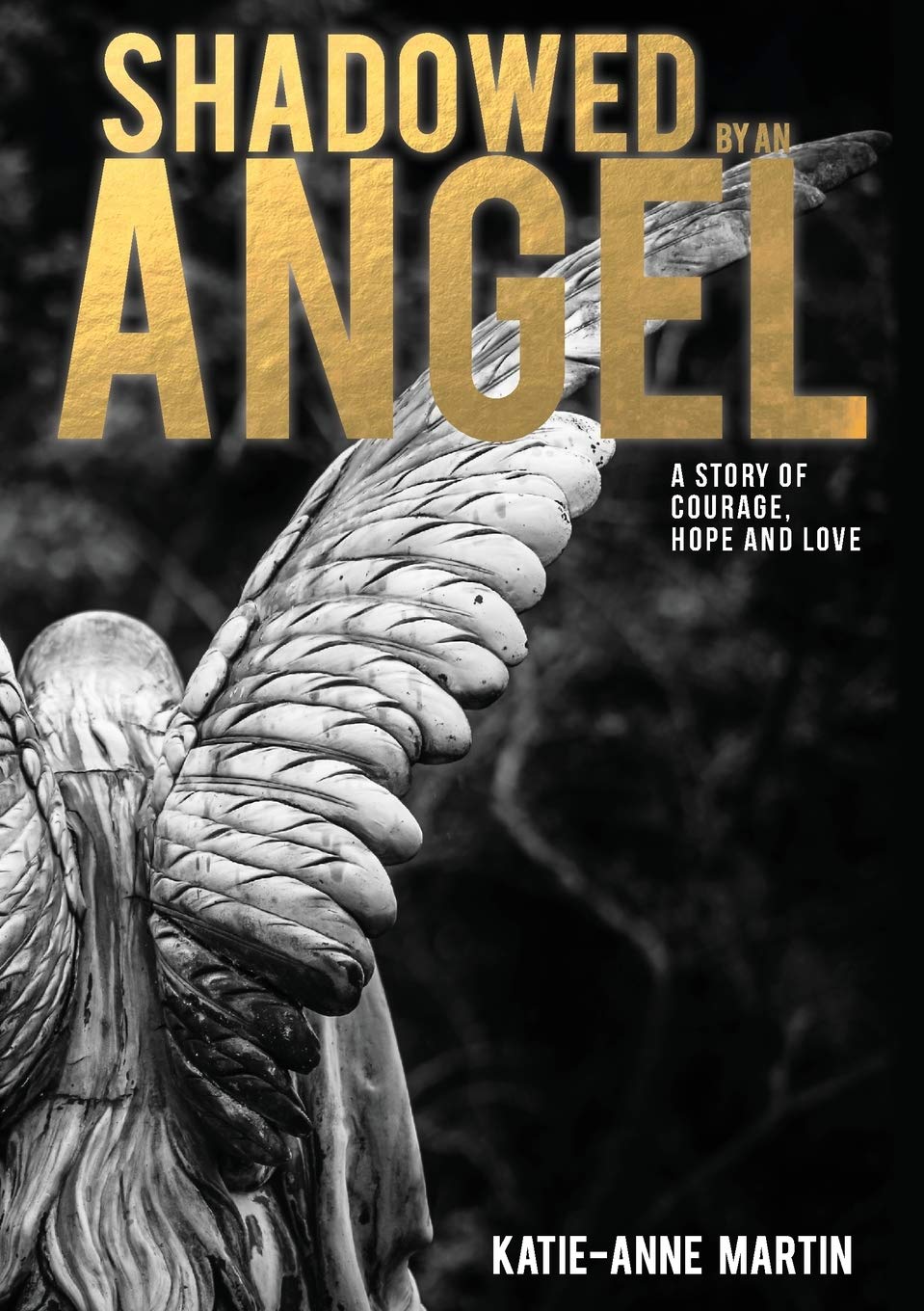 Shadowed by an Angel (Shackellby Downes),Used