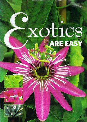 Exotics Are Easy,Used