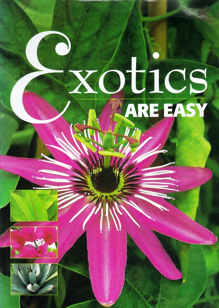 Exotics Are Easy,Used