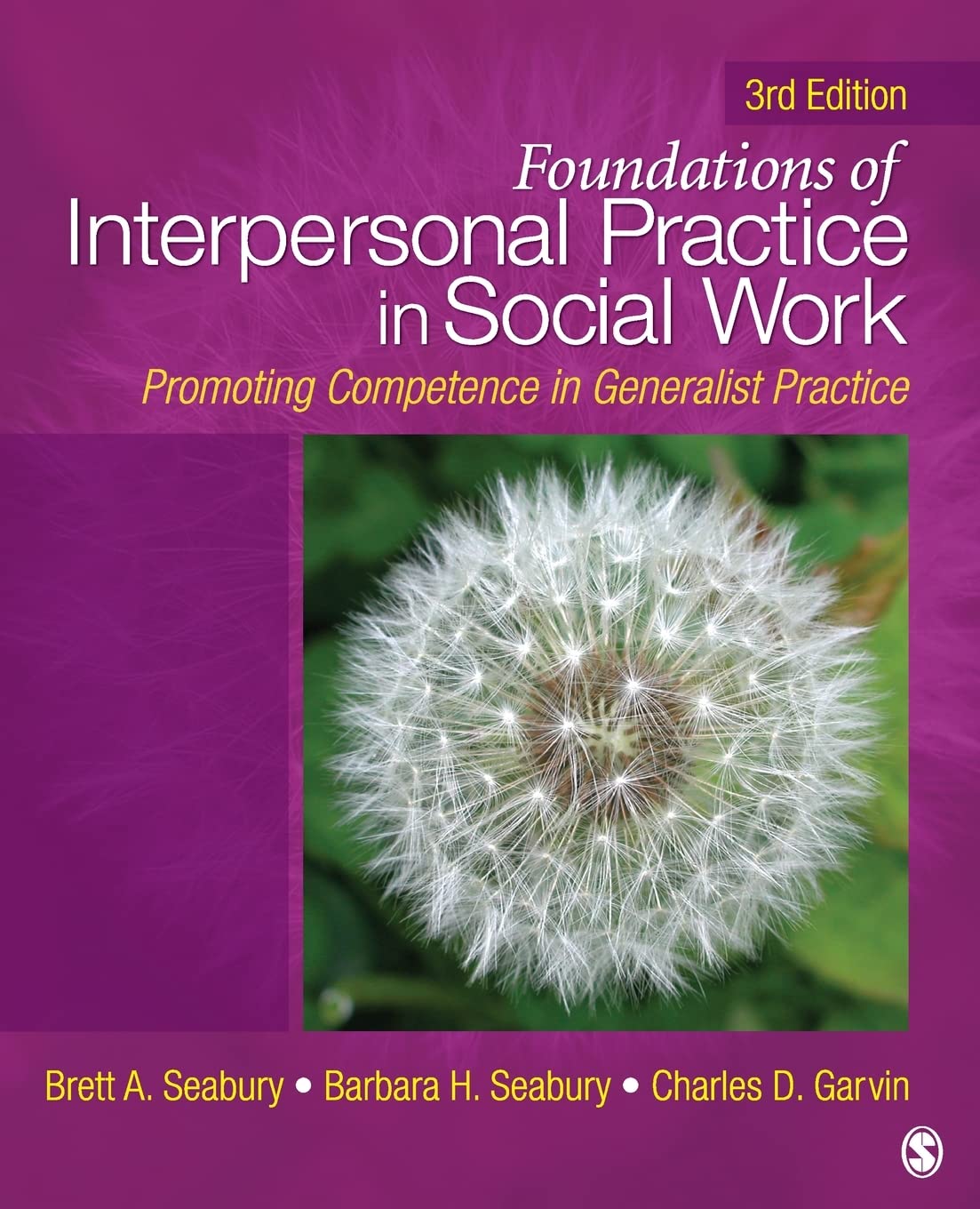 Foundations of Interpersonal Practice in Social Work: Promoting Competence in Generalist Practice,Used