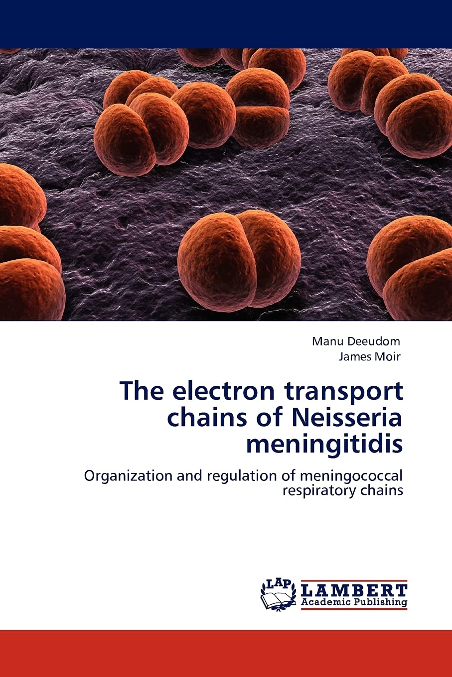 The electron transport chains of Neisseria meningitidis: Organization and regulation of meningococcal respiratory chains,Used