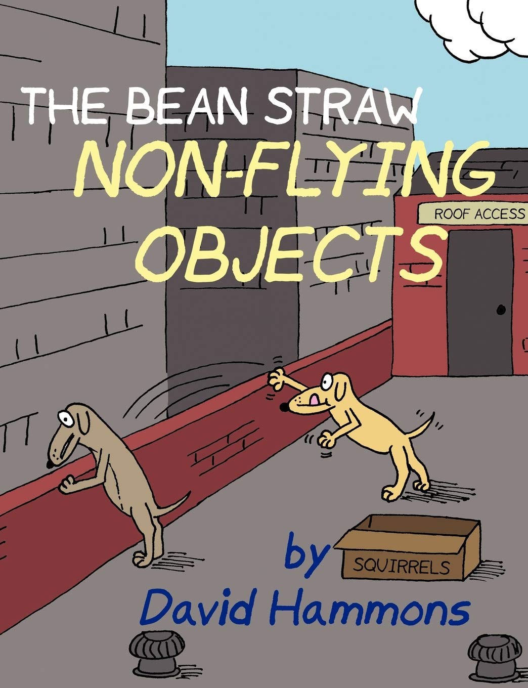 The Bean Straw: Nonflying Objects,Used