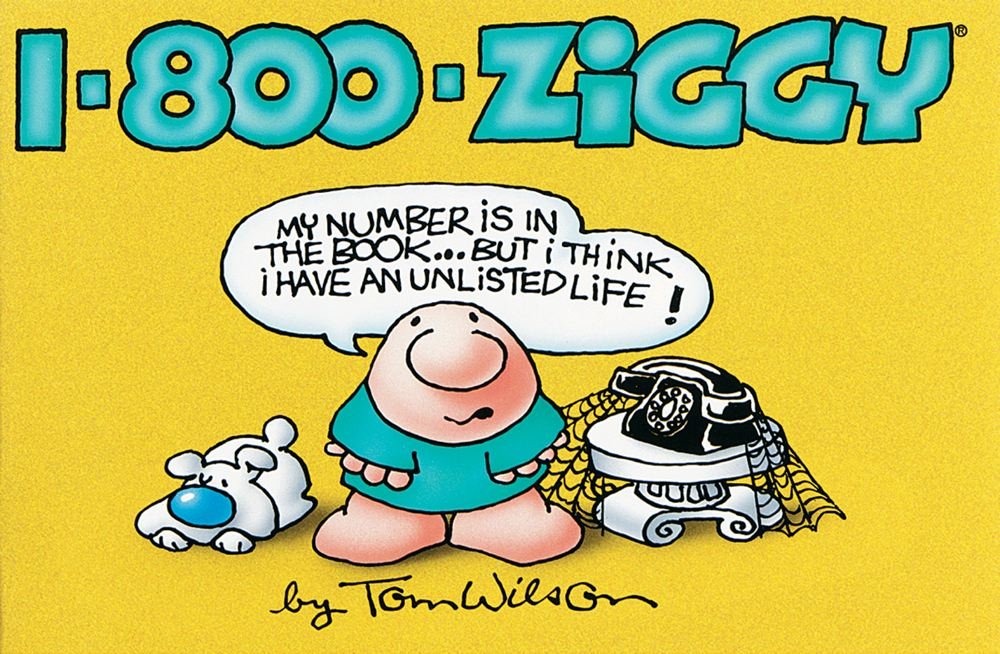 18ooZiggy,Used