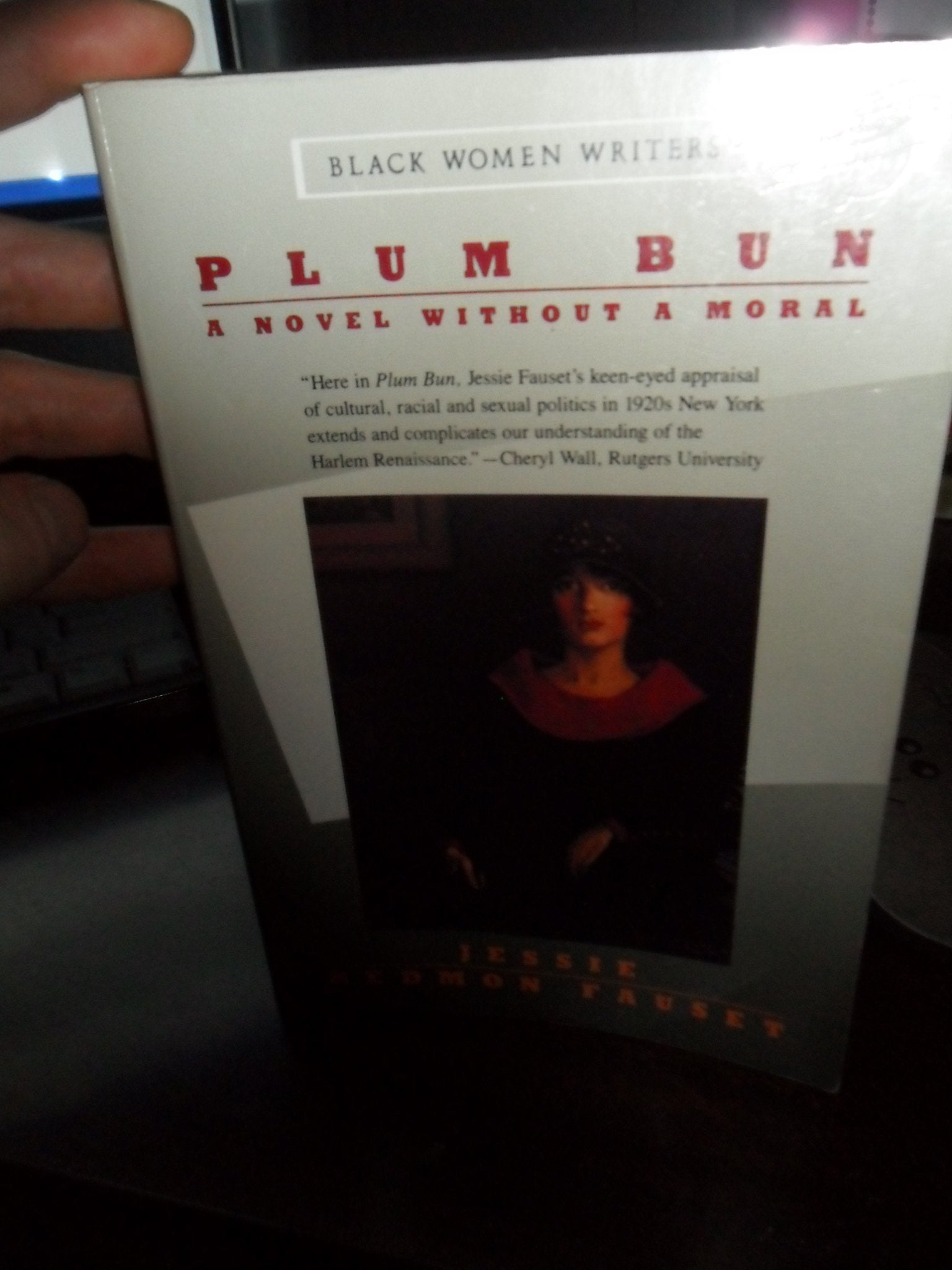 Plum Bun: A Novel Without A Moral,New