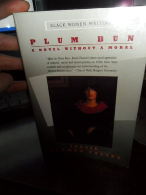 Plum Bun: A Novel Without A Moral,New