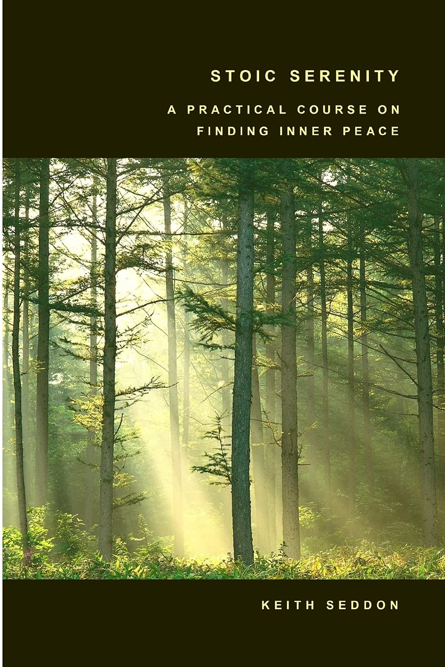 Stoic Serenity: A Practical Course on Finding Inner Peace,Used