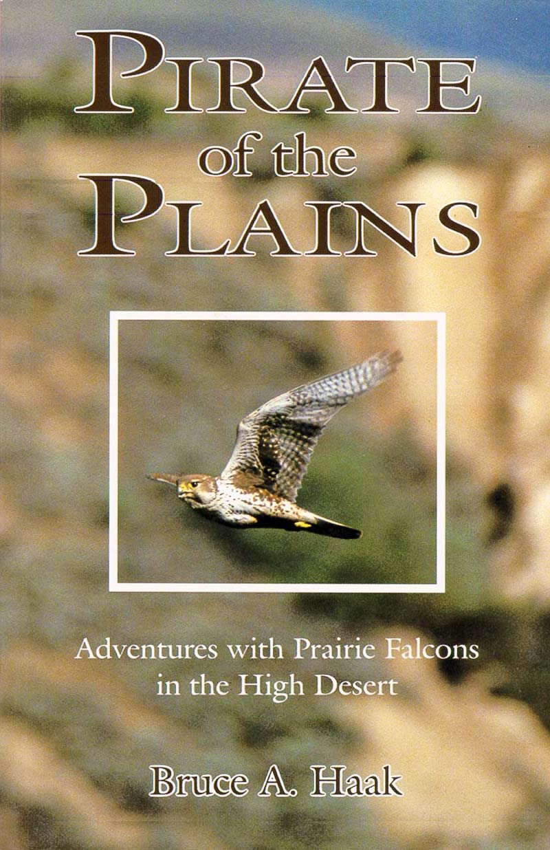 Pirate of the Plains: Adventures With Prairie Falcons on the High Desert,Used