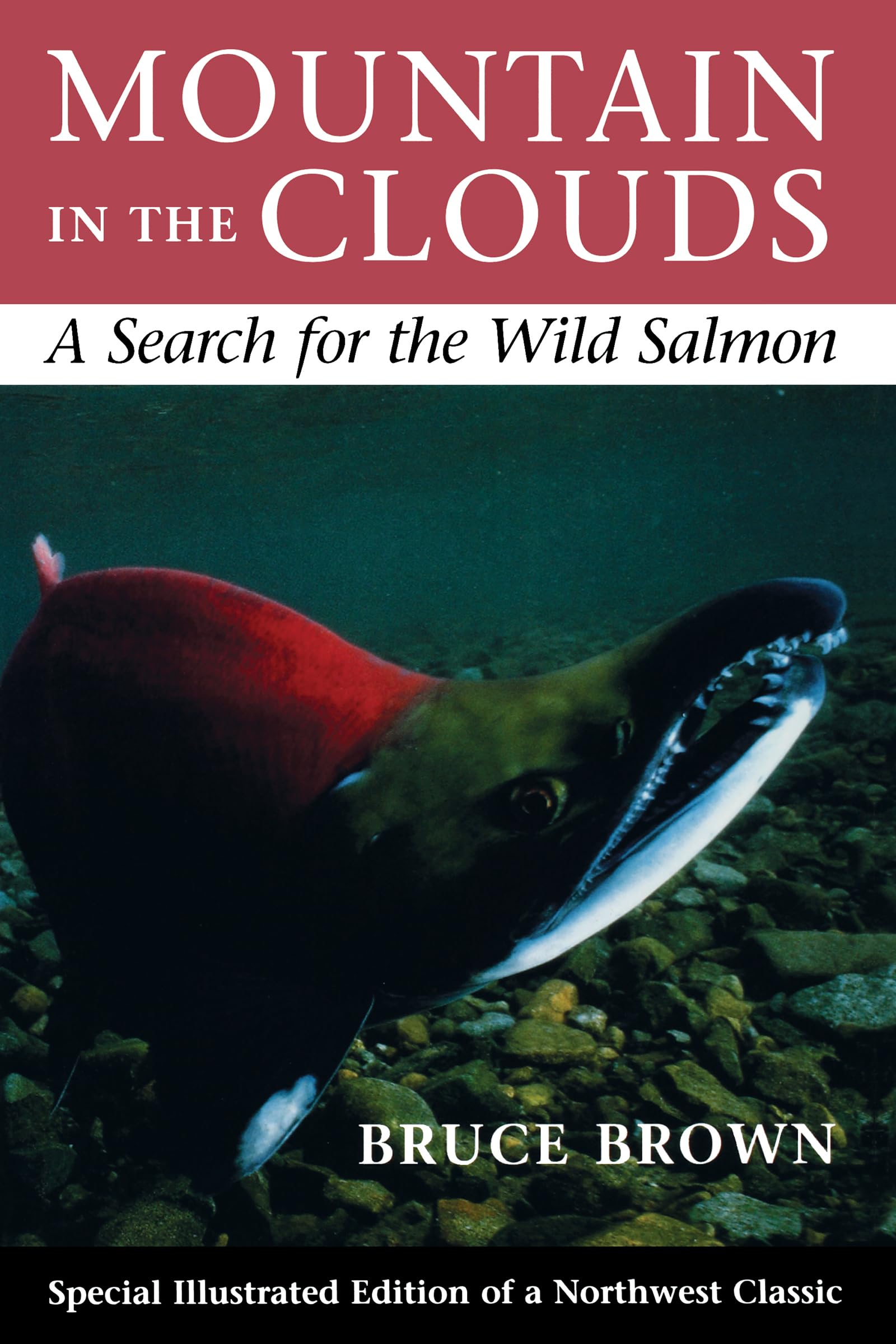 Mountain In The Clouds: A Search For The Wild Salmon