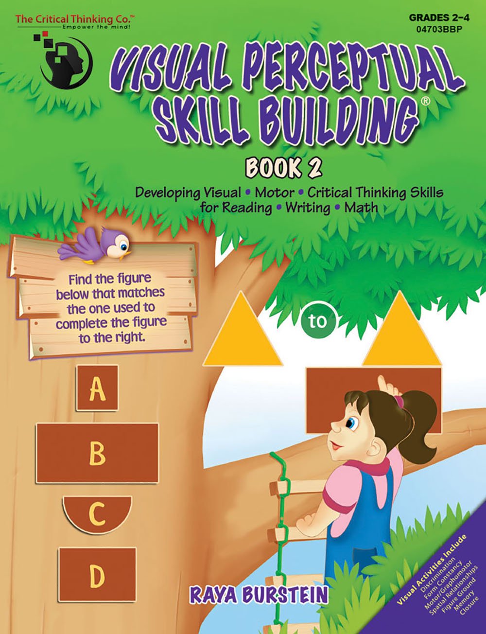 Visual Perceptual Skill Building Book 2 Workbook  Developing Visual, Motor, & Critical Thinking Skills for Reading, Writing, & ,Used