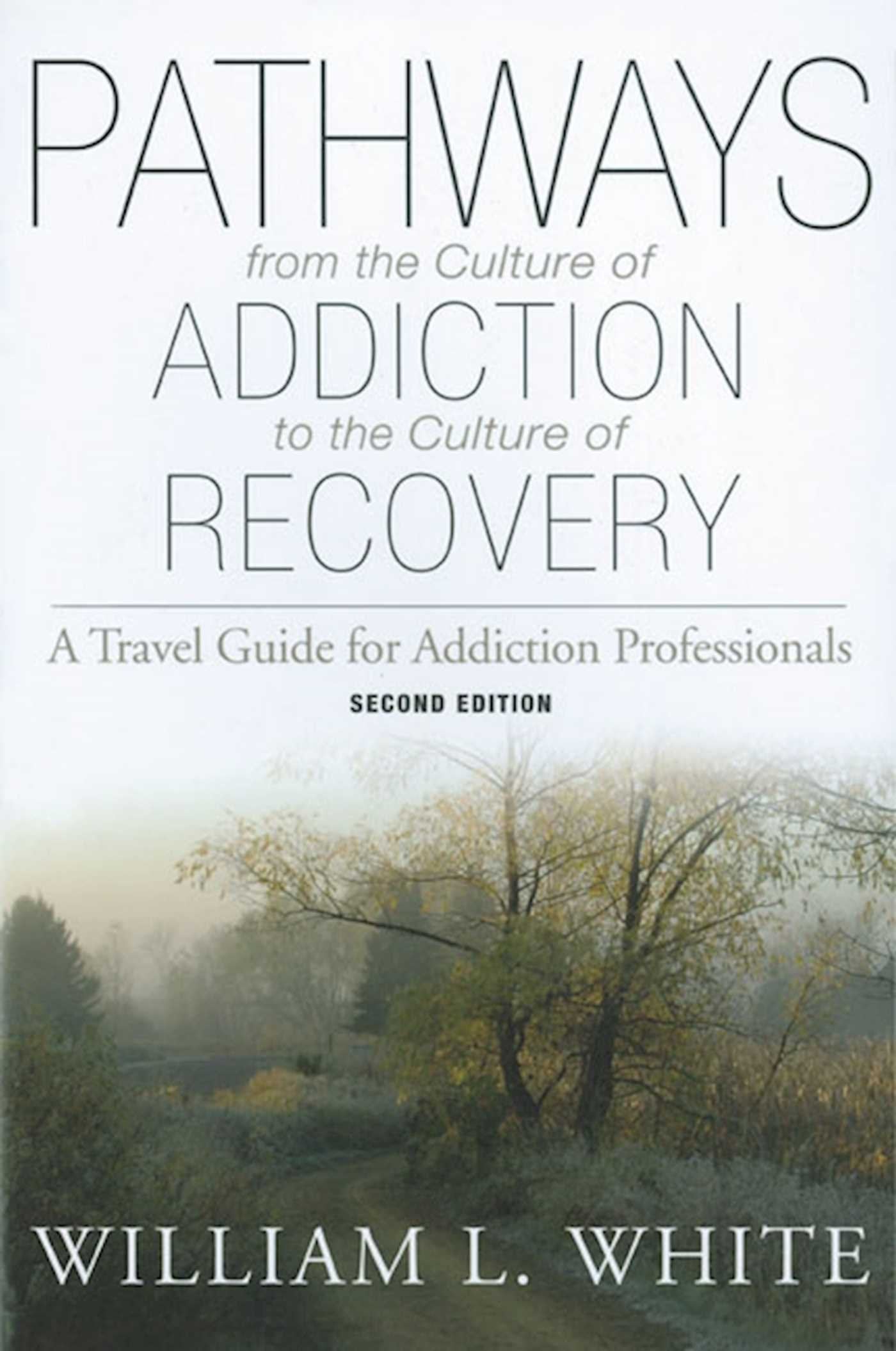 Pathways from the Culture of Addiction to the Culture of Recovery: A Travel Guide for Addiction Professionals, 2nd Edition,Used