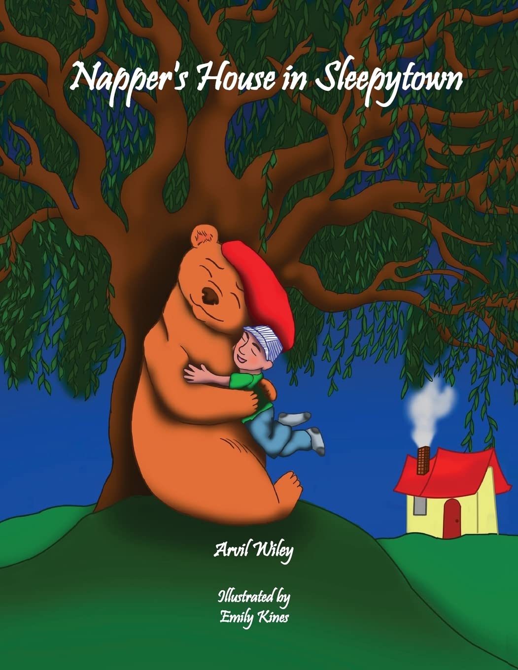 Napper's House in Sleepytown,Used
