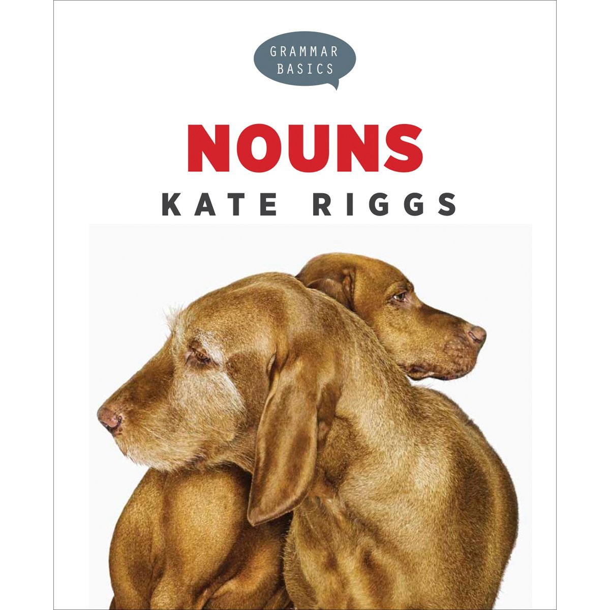 Grammar Basics: Nouns,Used